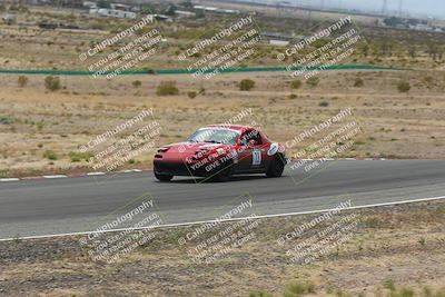 media/May-03-2025-Lucky Dog Racing (Sat) [[206de64b9d]]/Turn 6 (150pm-230pm)/